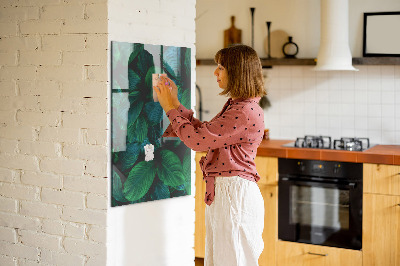 Magneetbord Grote tropische bladeren