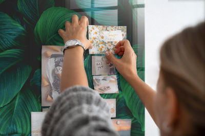 Magneetbord Grote tropische bladeren