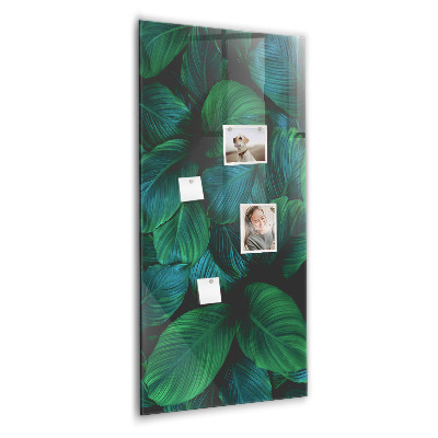 Magneetbord Grote tropische bladeren