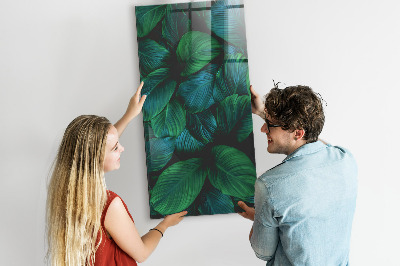 Magneetbord Grote tropische bladeren