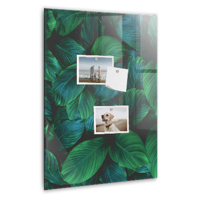Magneetbord Grote tropische bladeren