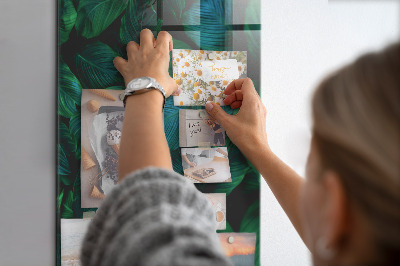 Magneetbord Grote tropische bladeren