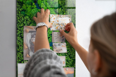 Magnetisch bord Rivier in het bos