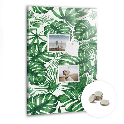 Memo bord Monstera plantbladeren