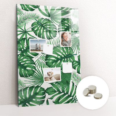 Memo bord Monstera plantbladeren