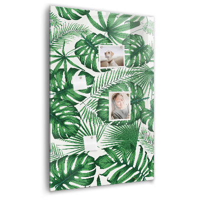 Memo bord Monstera plantbladeren
