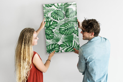 Memo bord Monstera plantbladeren