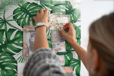 Memo bord Monstera plantbladeren