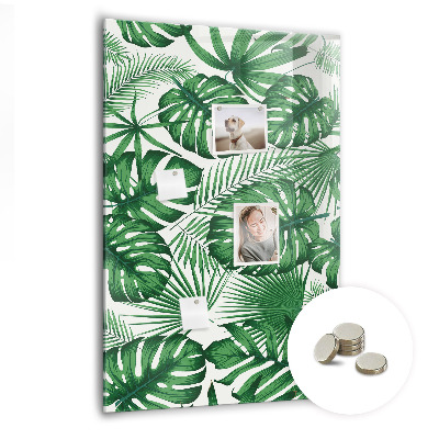 Memo bord Monstera plantbladeren