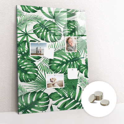 Memo bord Monstera plantbladeren