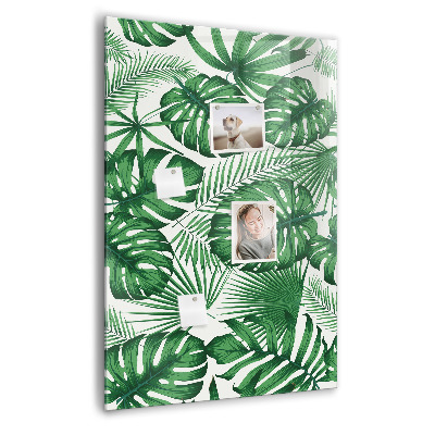 Memo bord Monstera plantbladeren