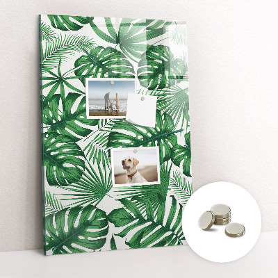 Memo bord Monstera plantbladeren