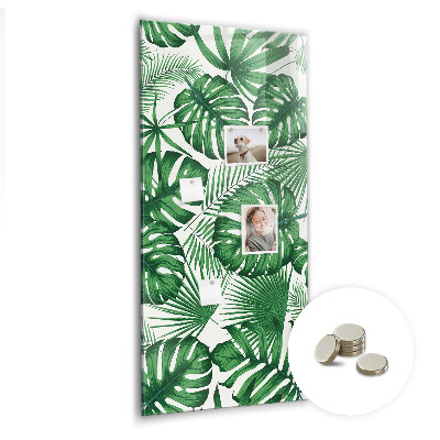 Memo bord Monstera plantbladeren