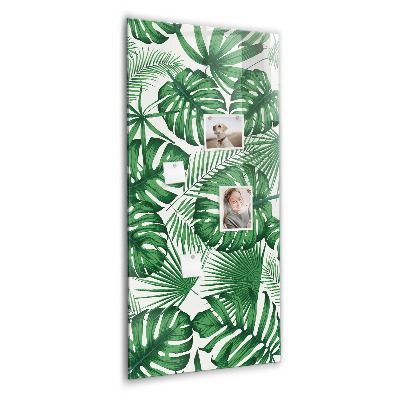 Memo bord Monstera plantbladeren