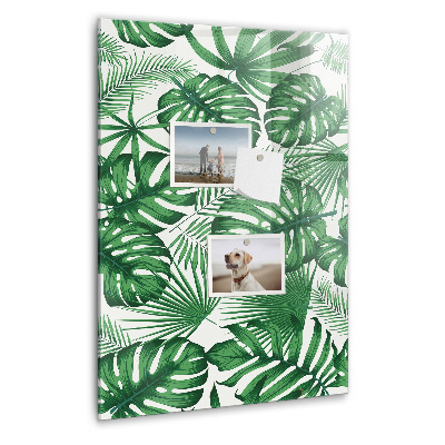 Memo bord Monstera plantbladeren