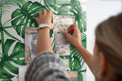 Memo bord Monstera plantbladeren