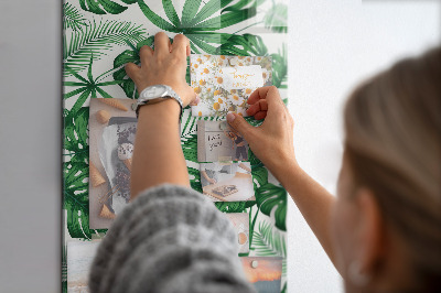 Memo bord Monstera plantbladeren