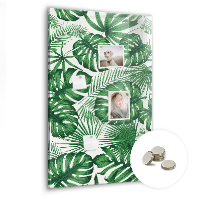 Memo bord Monstera plantbladeren