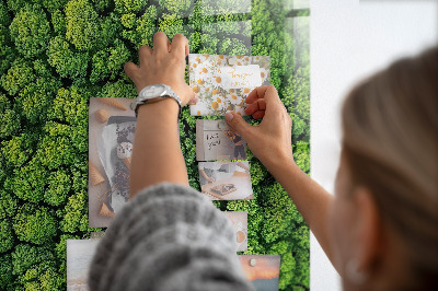 Memo bord Bosbomen natuur