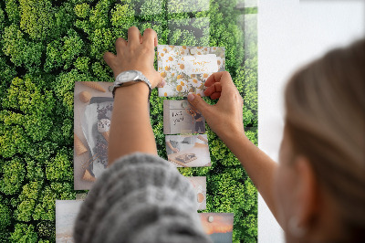 Memo bord Bosbomen natuur