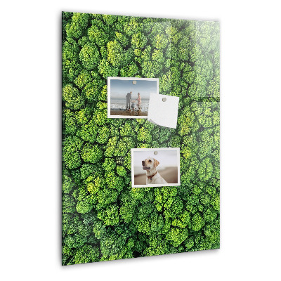 Memo bord Bosbomen natuur