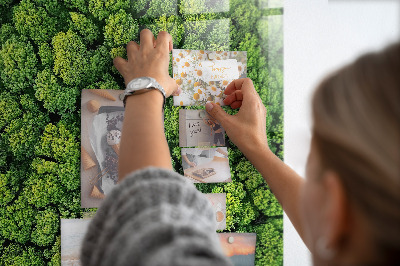 Memo bord Bosbomen natuur