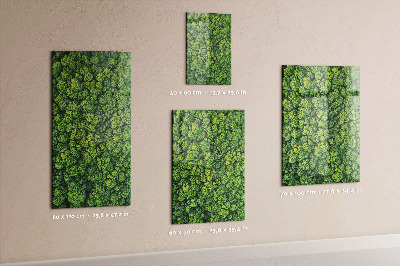 Memo bord Bosbomen natuur