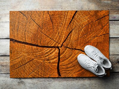 Buiten deurmat Dwarsdoorsnede van de stam