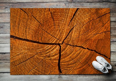Buiten deurmat Dwarsdoorsnede van de stam