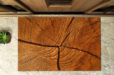 Buiten deurmat Dwarsdoorsnede van de stam