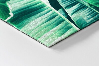 Schoonloopmat Bladplanten