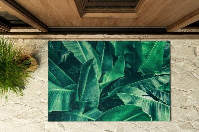 Schoonloopmat Bladplanten