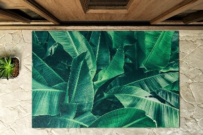 Schoonloopmat Bladplanten