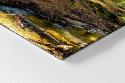 Deurmat voor buiten Boslandschap