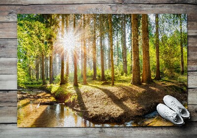 Deurmat voor buiten Boslandschap