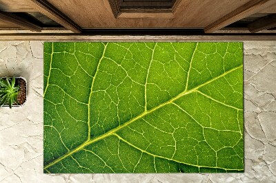 Deurmat voor buiten Bladdetails