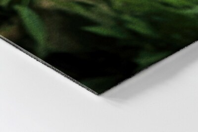 Buiten deurmat Tijger in de jungle