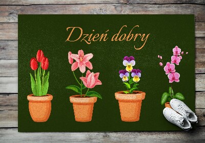 Schoonloopmat Potplanten