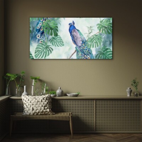 Foto’s op glas – Vogels 